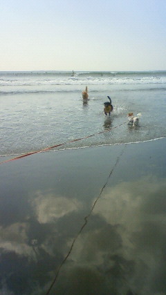 ファイル 2662-2.jpg