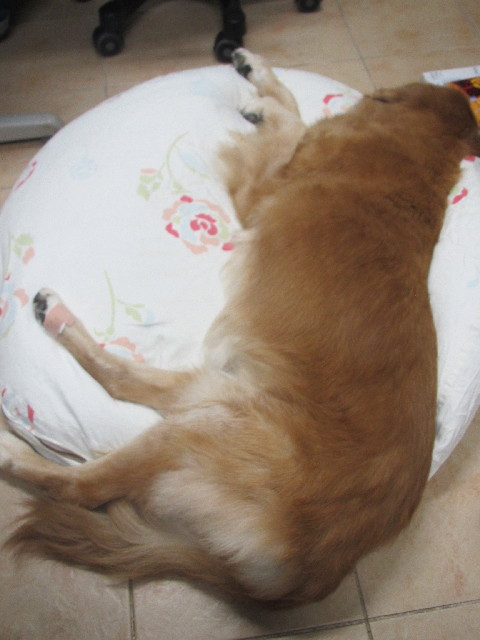 ファイル 2663-2.jpg