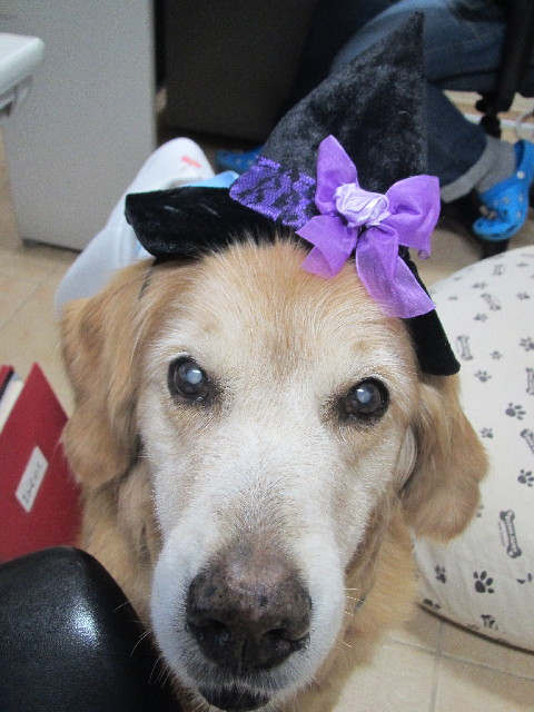 ファイル 2663-5.jpg