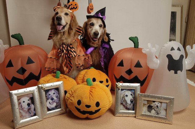 ファイル 2665-3.jpg