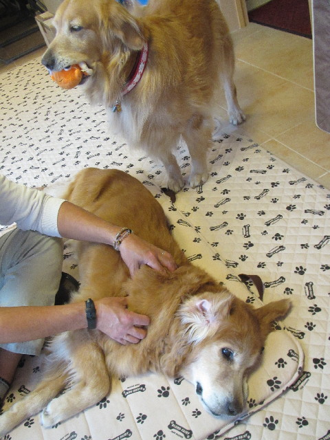 ファイル 2668-4.jpg