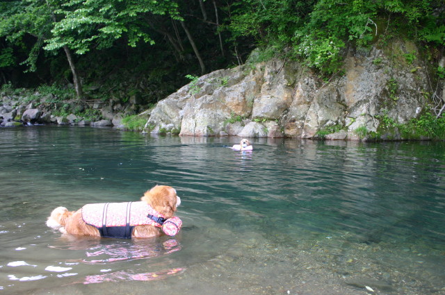 ファイル 267-1.jpg