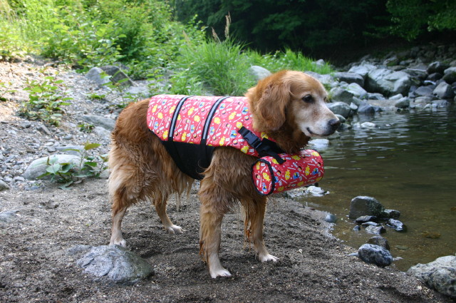 ファイル 267-2.jpg