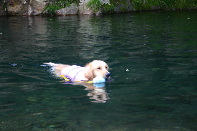 ファイル 267-3.jpg