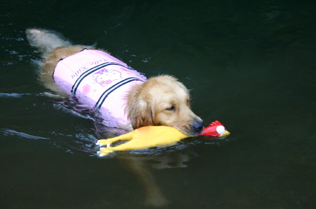 ファイル 267-4.jpg