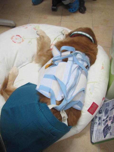 ファイル 2671-1.jpg