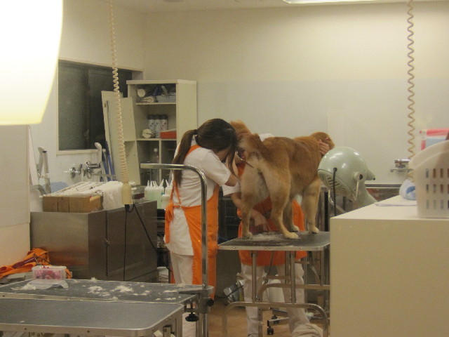 ファイル 2671-2.jpg