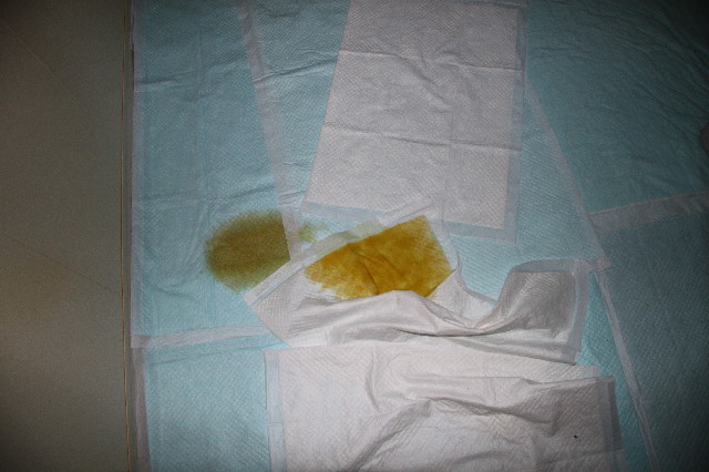 ファイル 2672-2.jpg