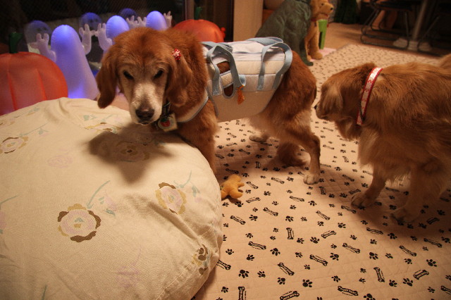 ファイル 2672-4.jpg