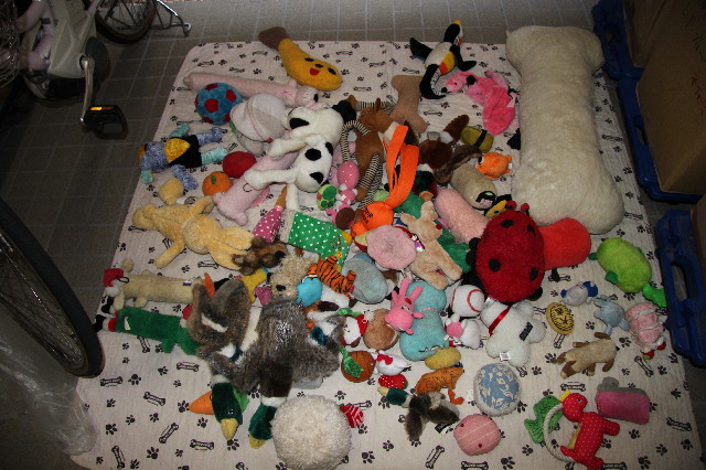 ファイル 2675-1.jpg