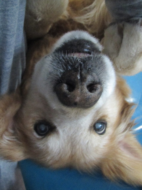 ファイル 2677-5.jpg