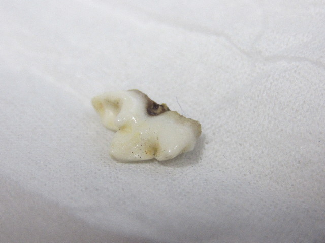 ファイル 2678-4.jpg