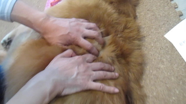 ファイル 2679-2.jpg