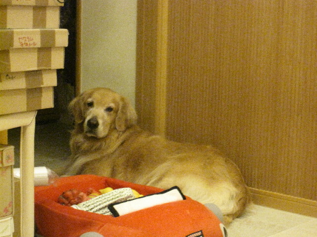 ファイル 2682-3.jpg