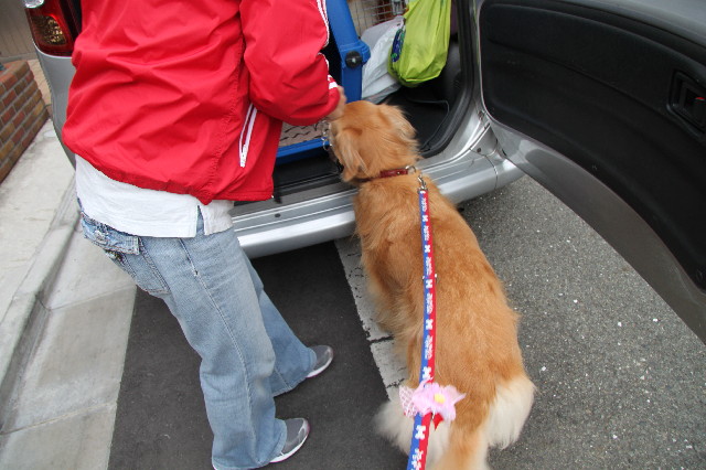 ファイル 2691-2.jpg