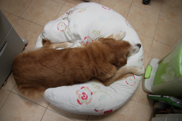 ファイル 2692-3.jpg