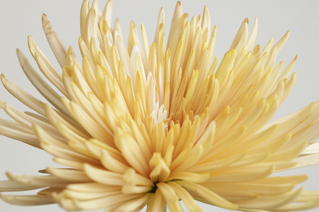 ファイル 2693-2.jpg