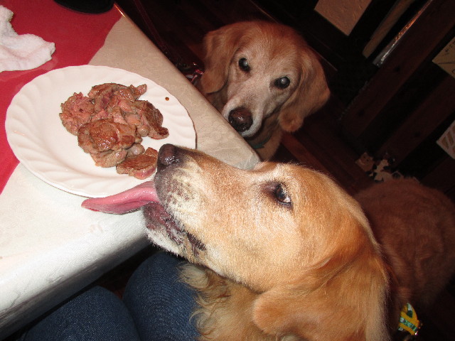 ファイル 2695-5.jpg