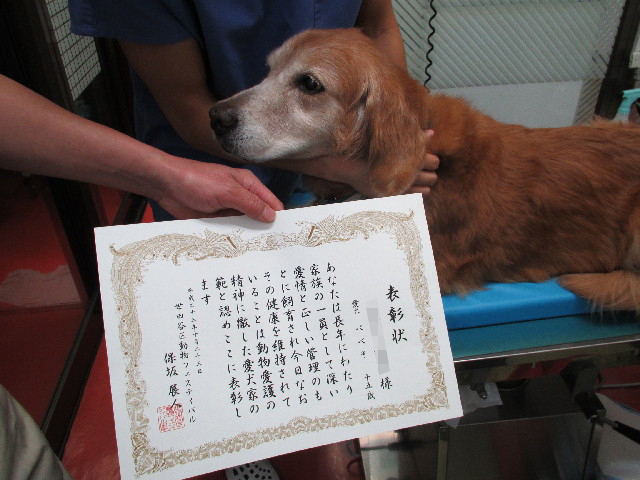 ファイル 2696-2.jpg