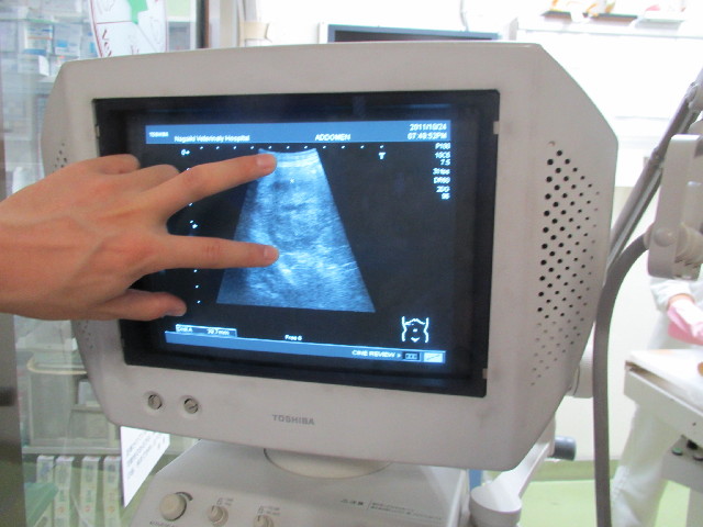 ファイル 2696-4.jpg