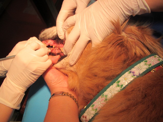 ファイル 2696-5.jpg