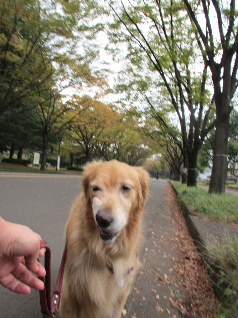 ファイル 2697-5.jpg