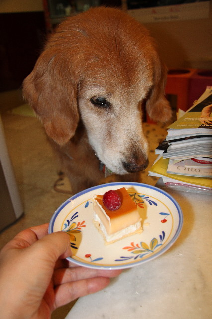 ファイル 2699-1.jpg