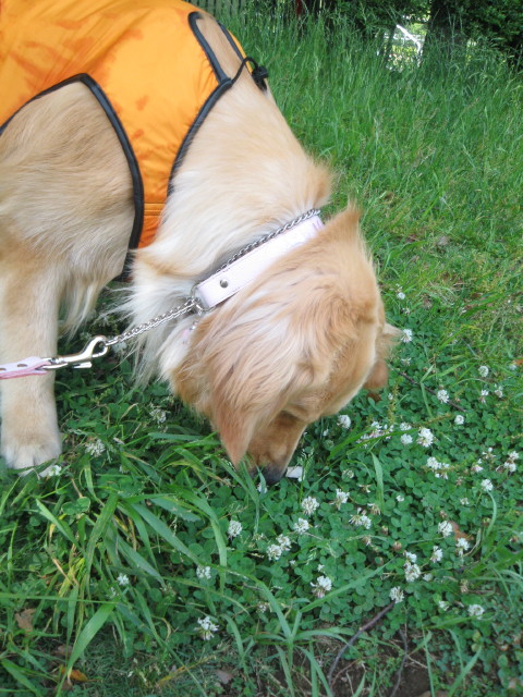 ファイル 270-3.jpg