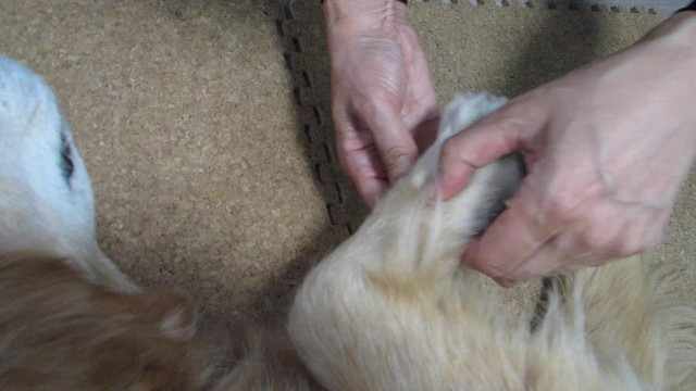 ファイル 2700-4.jpg