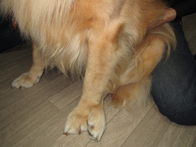 ファイル 2701-1.jpg