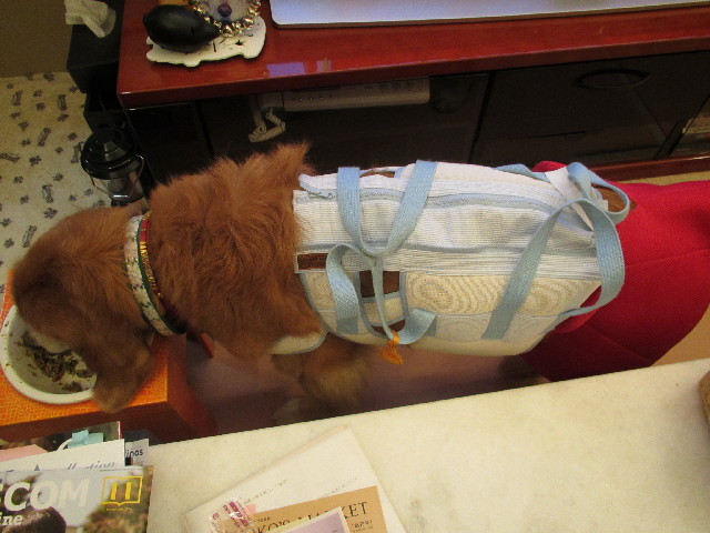 ファイル 2701-2.jpg