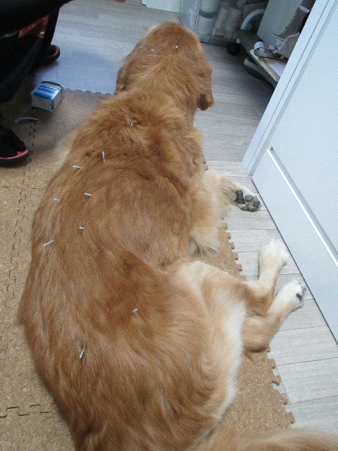 ファイル 2702-3.jpg