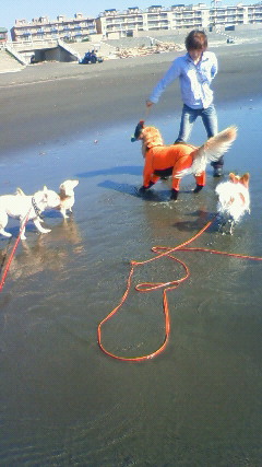 ファイル 2703-3.jpg