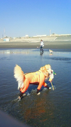 ファイル 2703-4.jpg