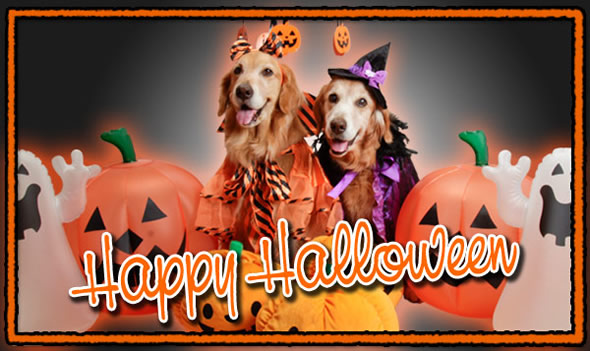 ファイル 2704-1.jpg