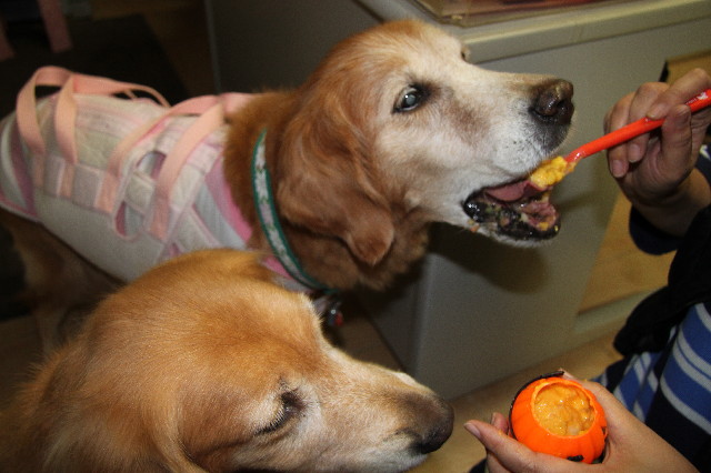 ファイル 2705-3.jpg