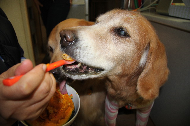 ファイル 2705-5.jpg