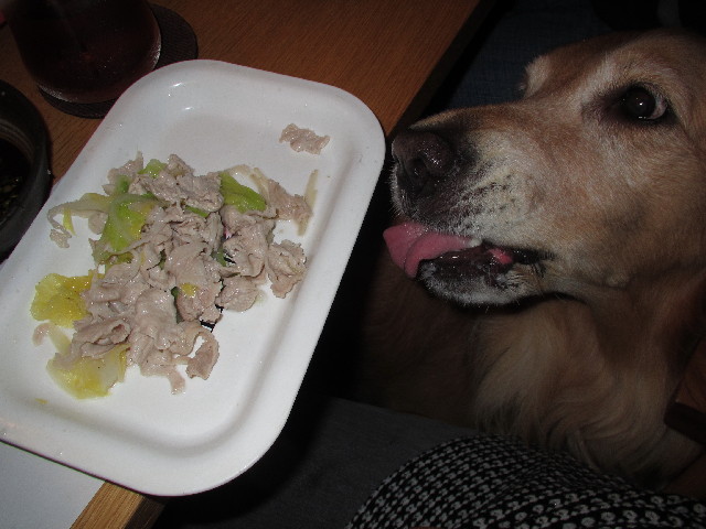 ファイル 2709-4.jpg