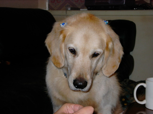 ファイル 271-1.jpg