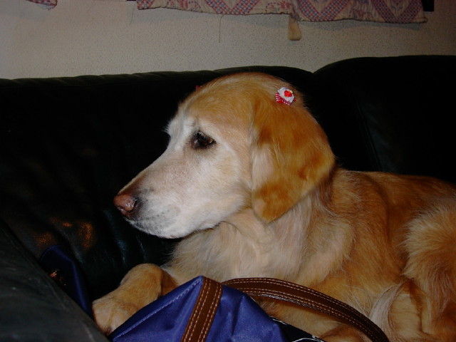 ファイル 271-3.jpg