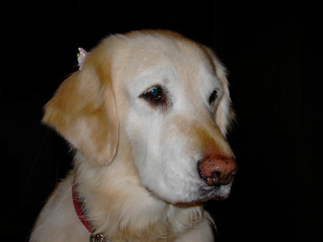 ファイル 271-4.jpg