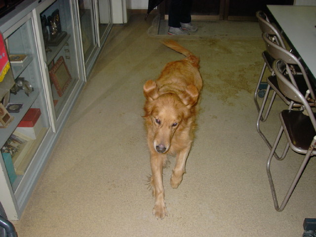 ファイル 271-5.jpg