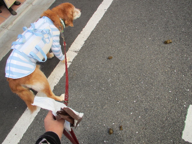 ファイル 2711-2.jpg