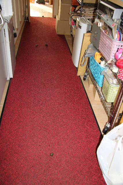 ファイル 2711-3.jpg