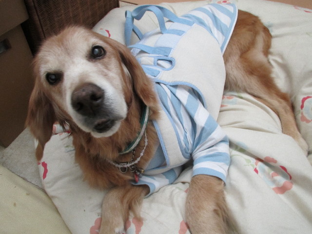 ファイル 2711-5.jpg