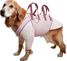 ファイル 2712-1.jpg