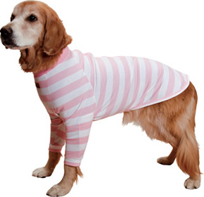 ファイル 2712-3.jpg