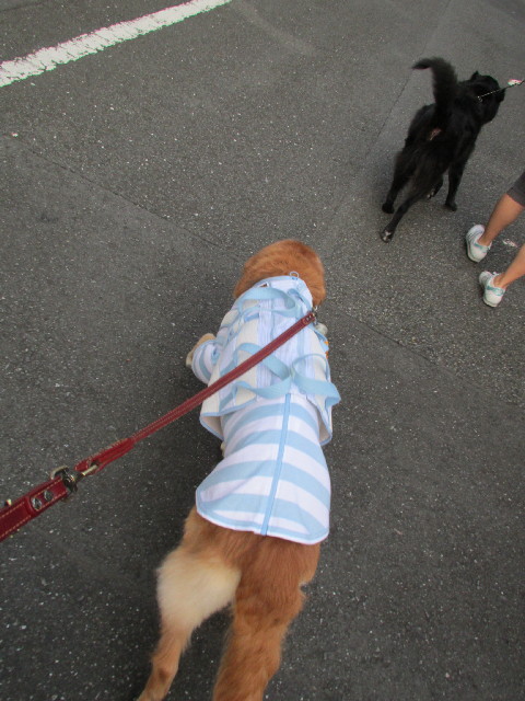 ファイル 2712-4.jpg