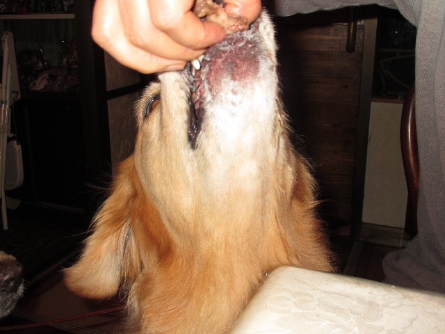 ファイル 2713-2.jpg