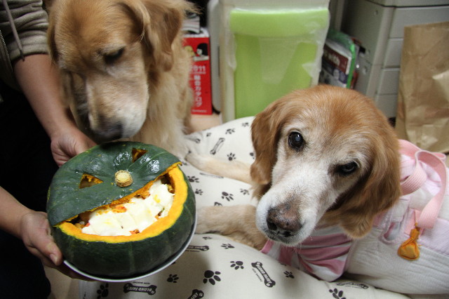 ファイル 2713-3.jpg